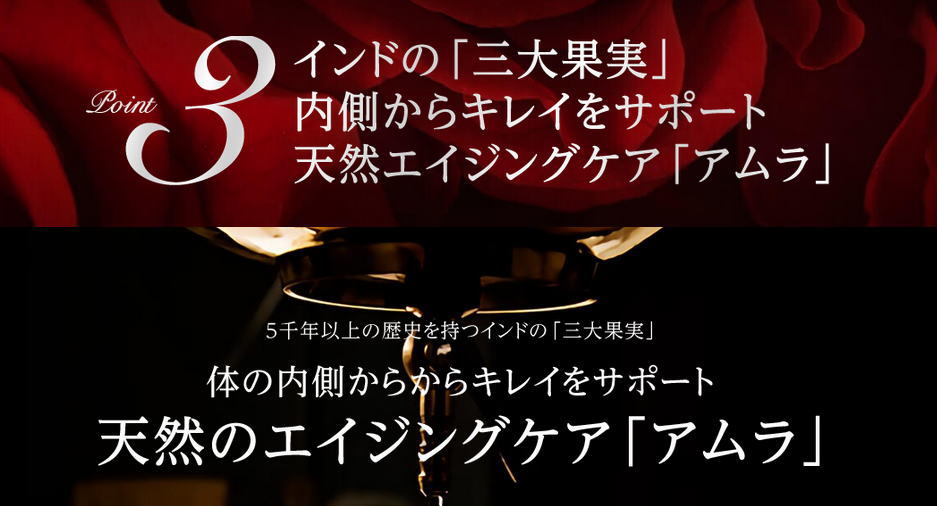 アムラ[サプリメント]｜アムラ配合【エイジスト】35歳～45歳代の女性が大注目！
